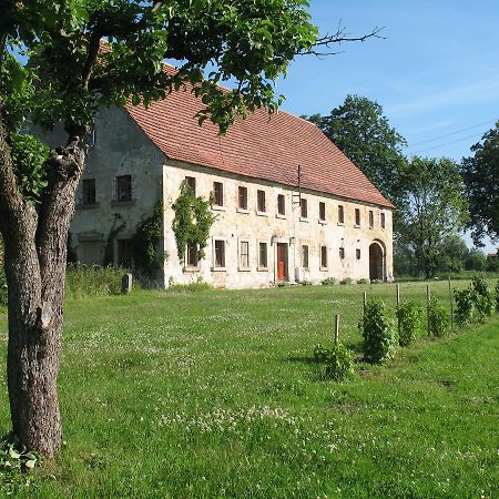 Agroturystyka Dom Pod Sowa Nawojow Luzycki 外观 照片